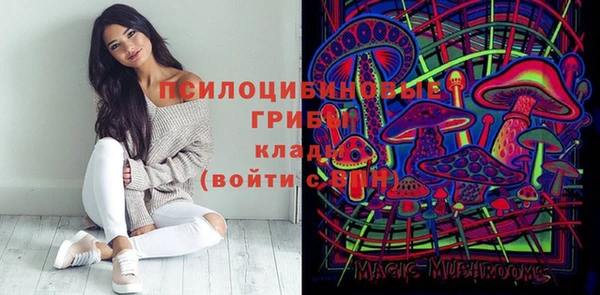 MDMA Premium VHQ Белокуриха