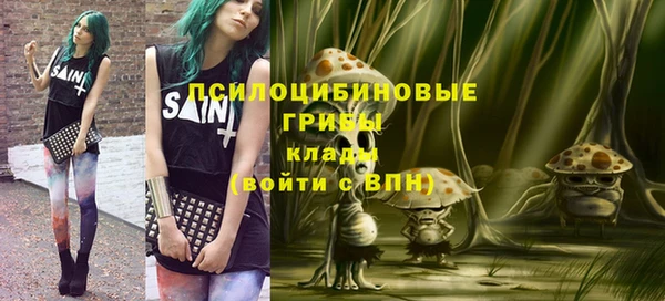 индика Балабаново