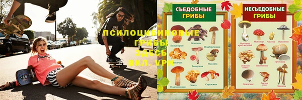 индика Балабаново